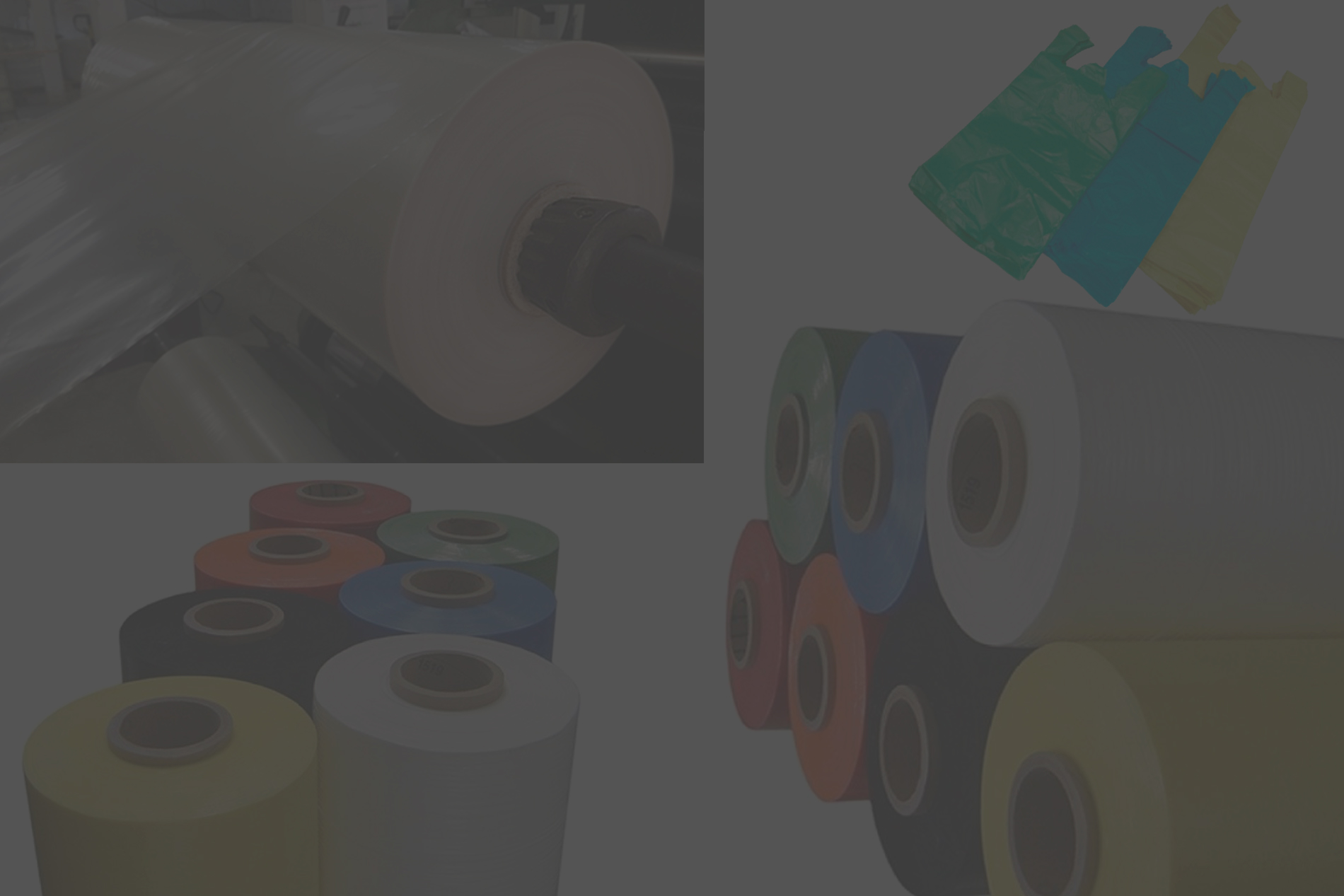 imagen Reciclados 